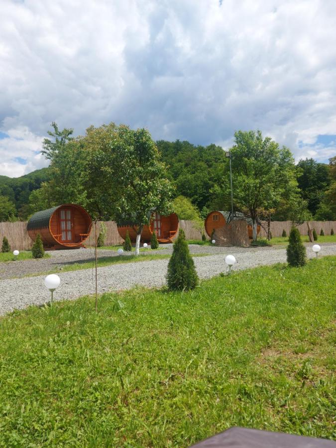 Casa Hoban Apartment Baia Mare Luaran gambar